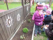 Pěstujeme bylinky na zahrádce